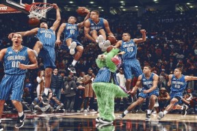 开云网页版-_猛龙队韧性十足，逆转战局赢得胜利_，猛龙队出场介绍