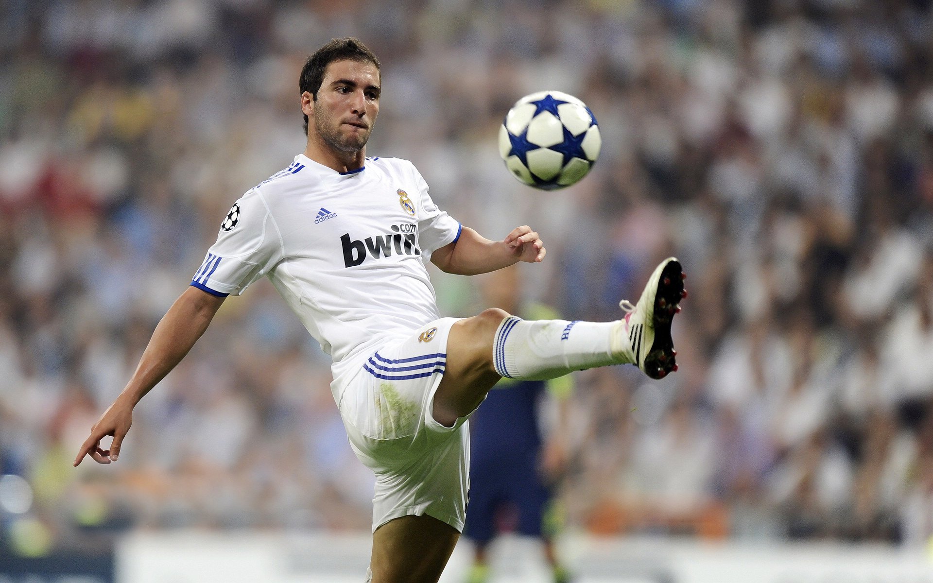 “三叉湖校区：滚球运动的魅力吸引全球目光”